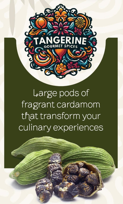 Premium Green Cardamom (8mm) - Tangerine Gourmet Spices (70g) - Tangerine Gourmet Spices
