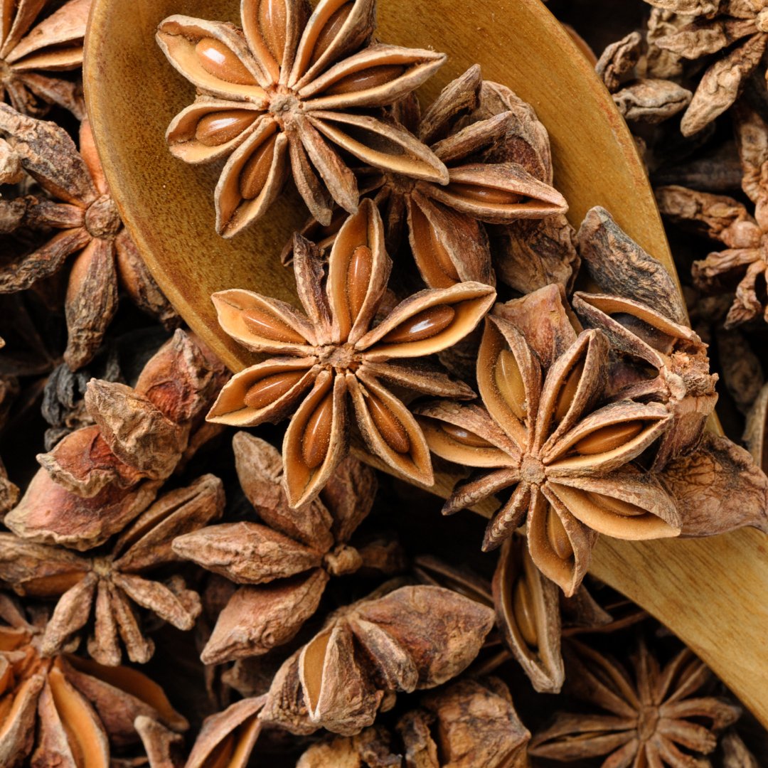 Premium Star Anise (Chakra Phool) - Tangerine Gourmet Spices